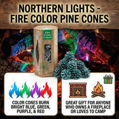 Winter Woods Northern Lights Cone purple flame creates a magical living room atmosphere.