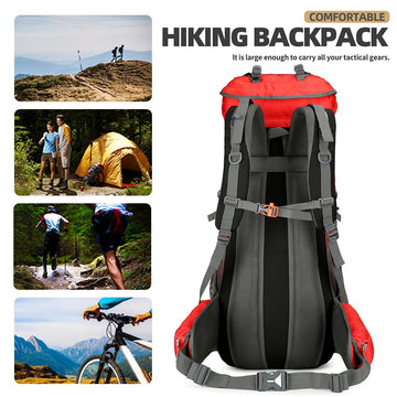 WintMing 75L hiking backpack breathable back-panel supports comfortable long hikes.