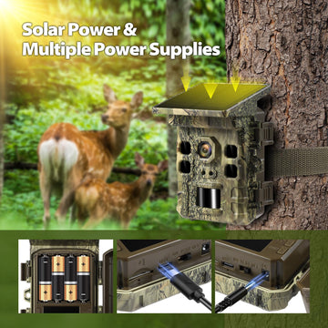 WISCOUTING IP66 durability image shows rugged weatherproof protection.