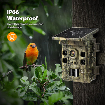 WISCOUTING wifi bluetooth app view enables remote preview and setup.