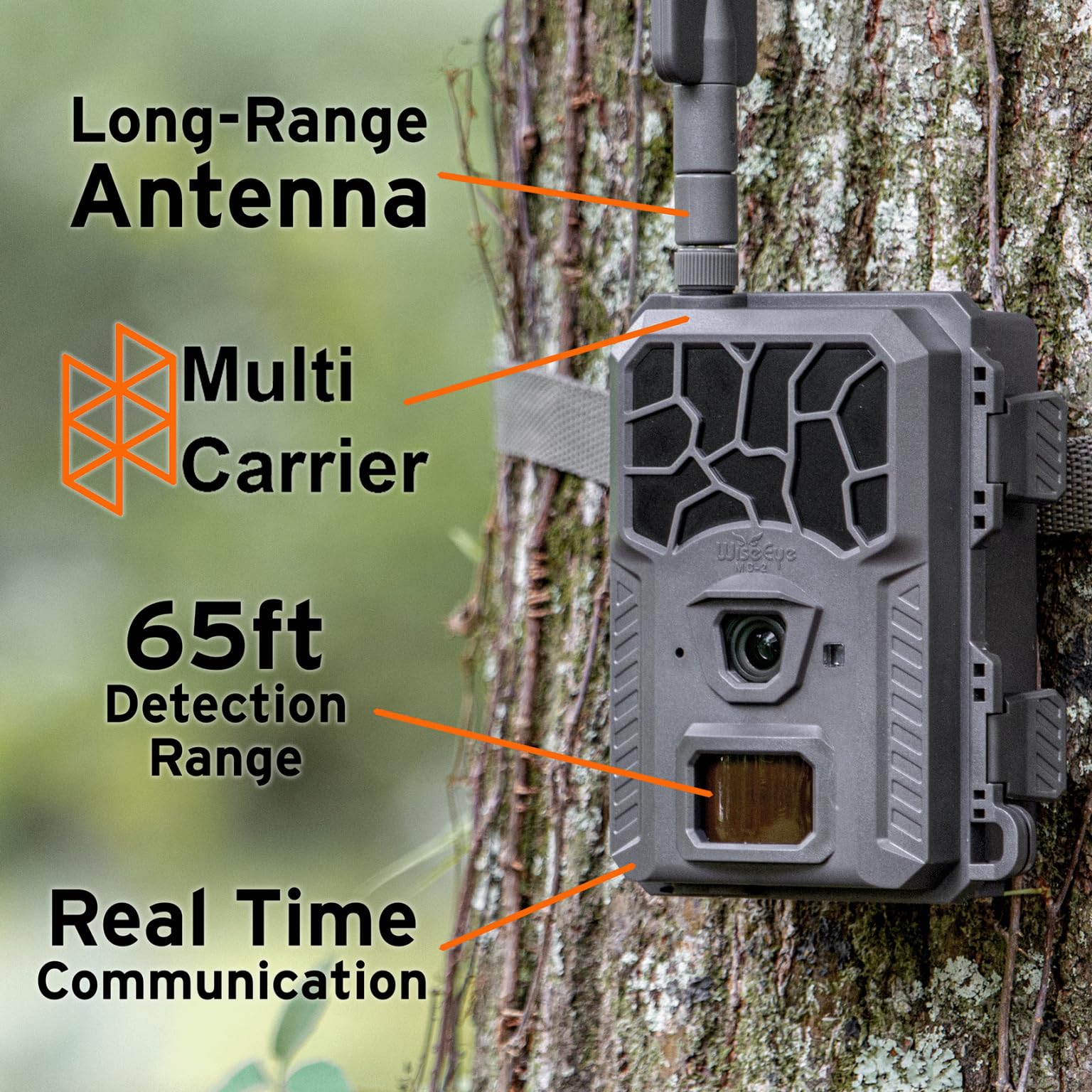 WiseEye Mini Cam 2 multi-carrier connectivity enables reliable cellular access in remote locations.