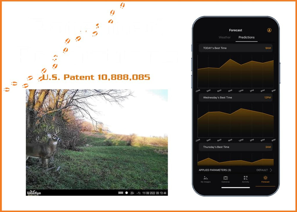WiseEye Mini Cam 2 outputs high-definition cellular photos and videos.