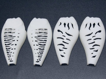 wLure hard plastic 3D stencil pattern 03 supports consistent pattern transfers on lures.