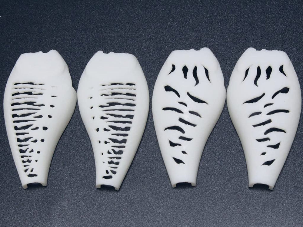 wLure hard plastic 3D stencil pattern 03 supports consistent pattern transfers on lures.
