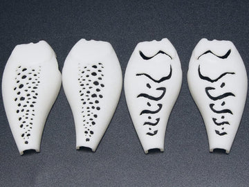 wLure hard plastic 3D stencil pattern 04 helps replicate complex logos on crankbaits.