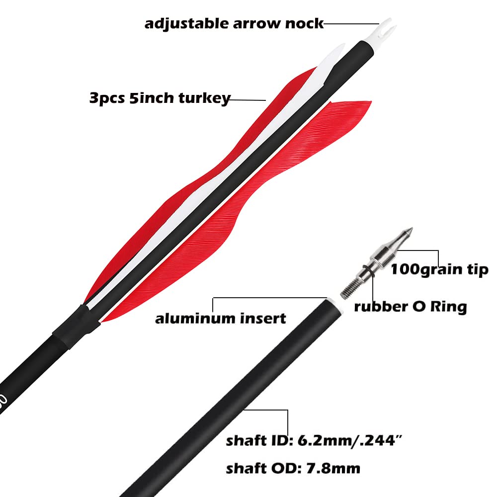 Wolfman 31 carbon arrows with removable 100-grain tips for easy maintenance