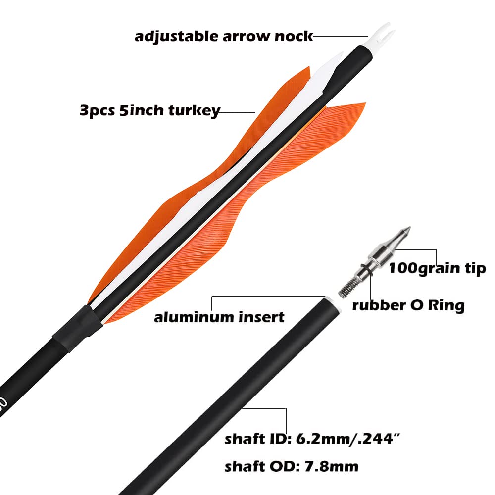 Wolfman 31” carbon arrows orange adjustable nock close-up for bow compatibility