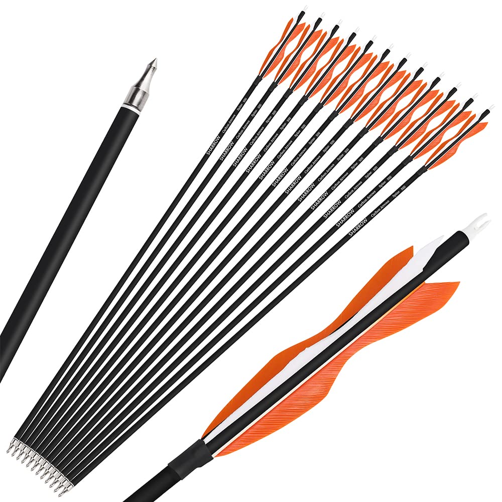 Wolfman orange-packaged arrows ready for range practice and outdoor shooting