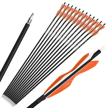 Wolfman orange-packaged arrows ready for range practice and outdoor shooting