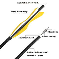 Wolfman arrows with removable tips for versatile target practice