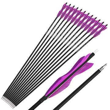 Wolfman light-purple 6-pack arrows offer visual appeal plus reliable practice flight.