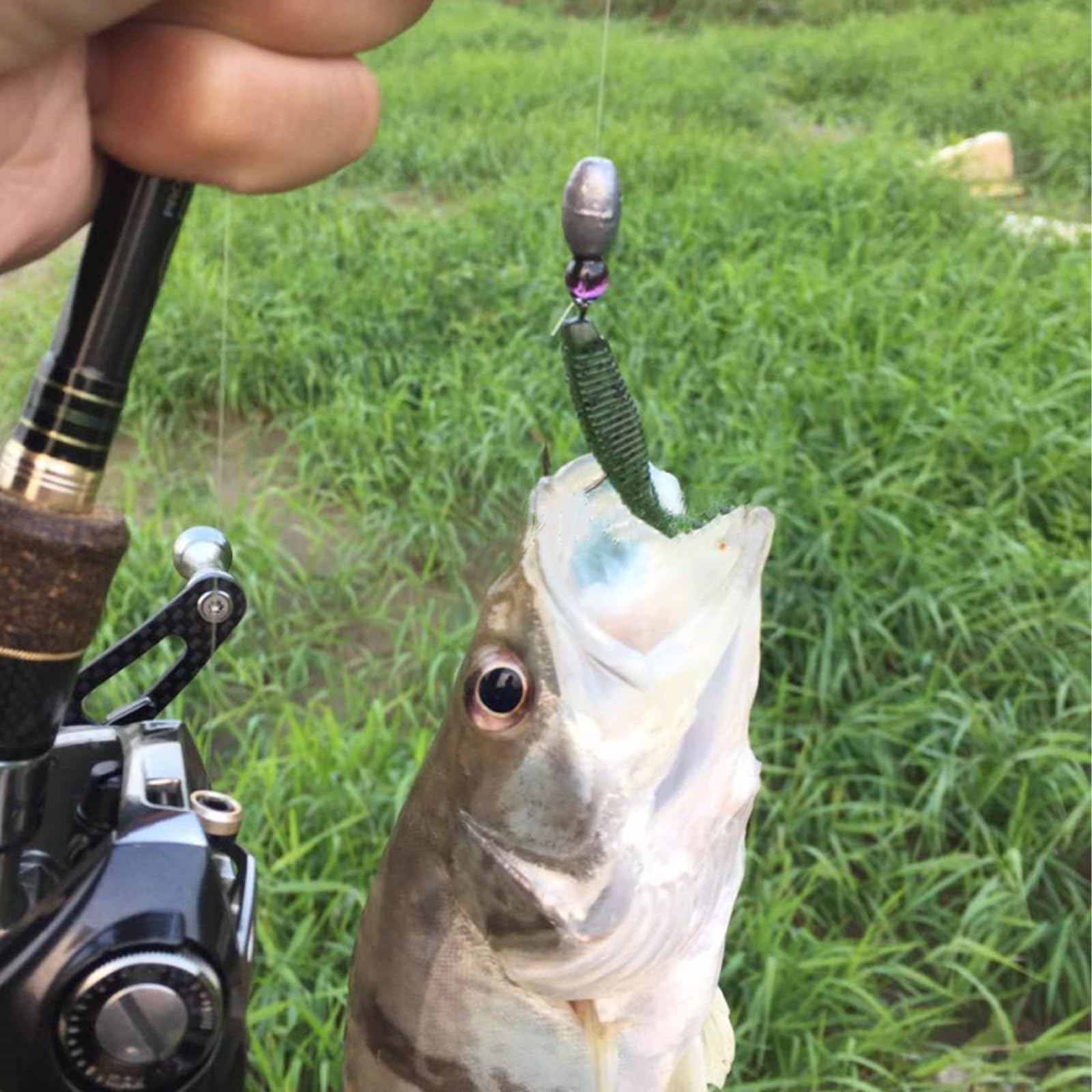 Suitable for freshwater and saltwater fishing