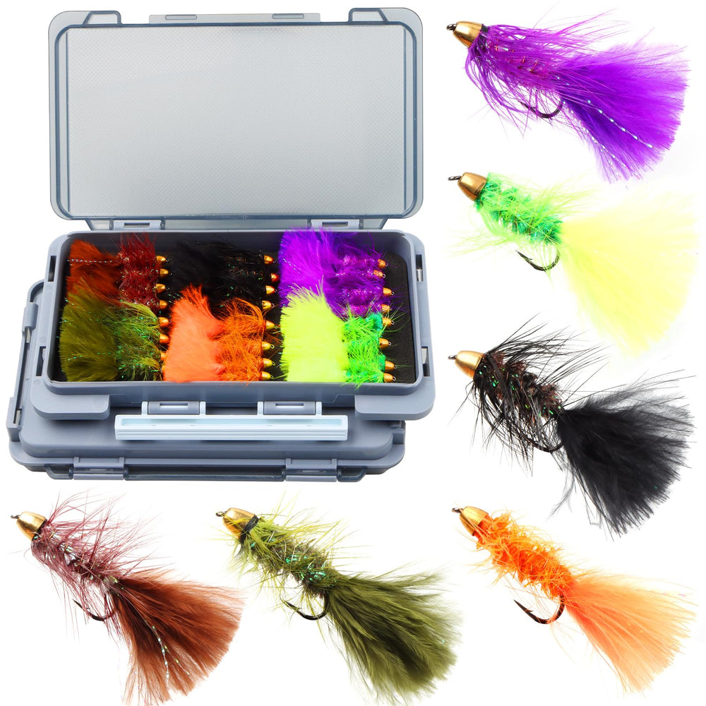 Woolly Bugger flies assortment front view in two boxes