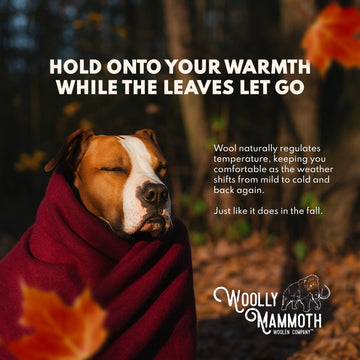 Self-cleaning fibers on Woolly Mammoth blanket simplify maintenance.