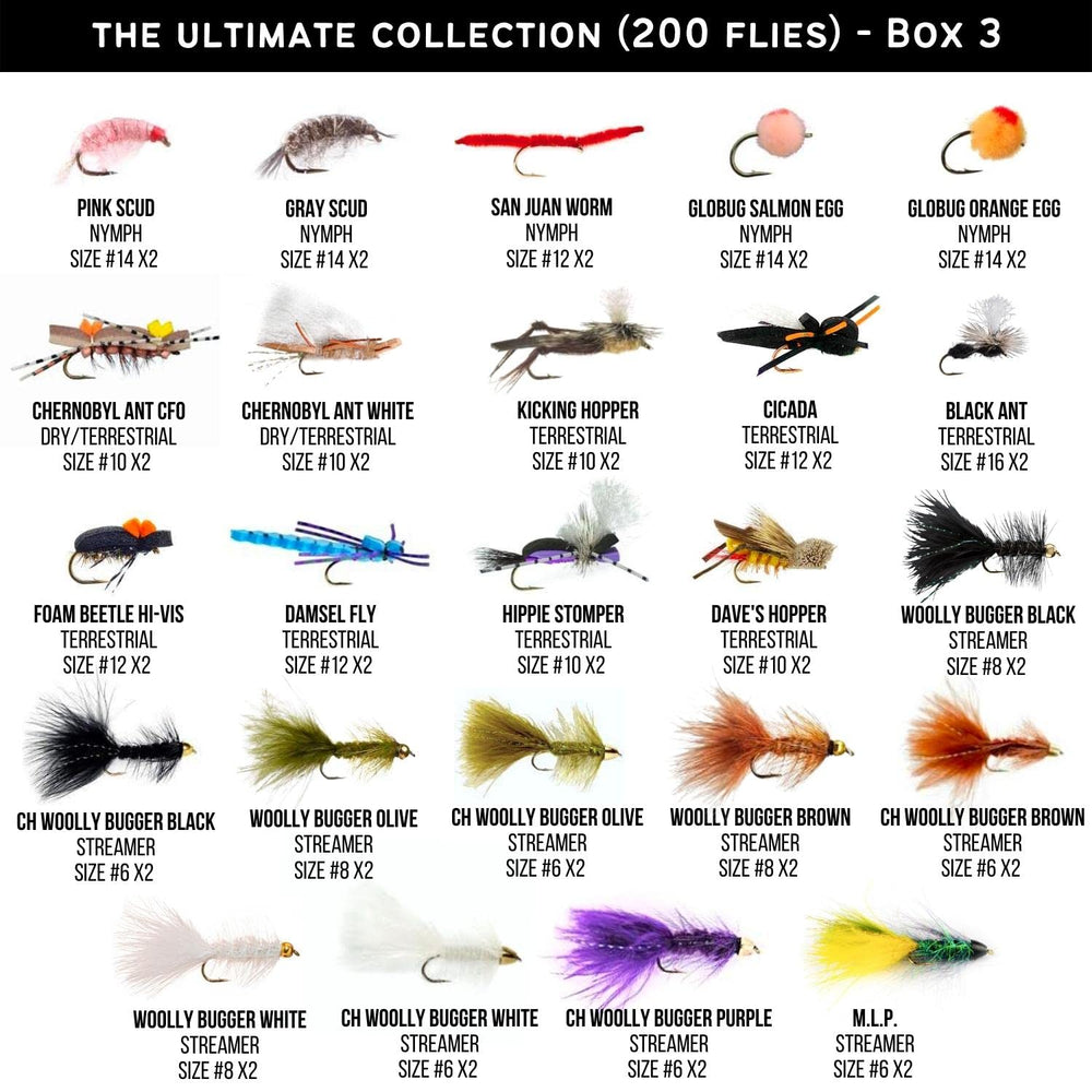 Close-up of Wooly Buggers and streamer patterns