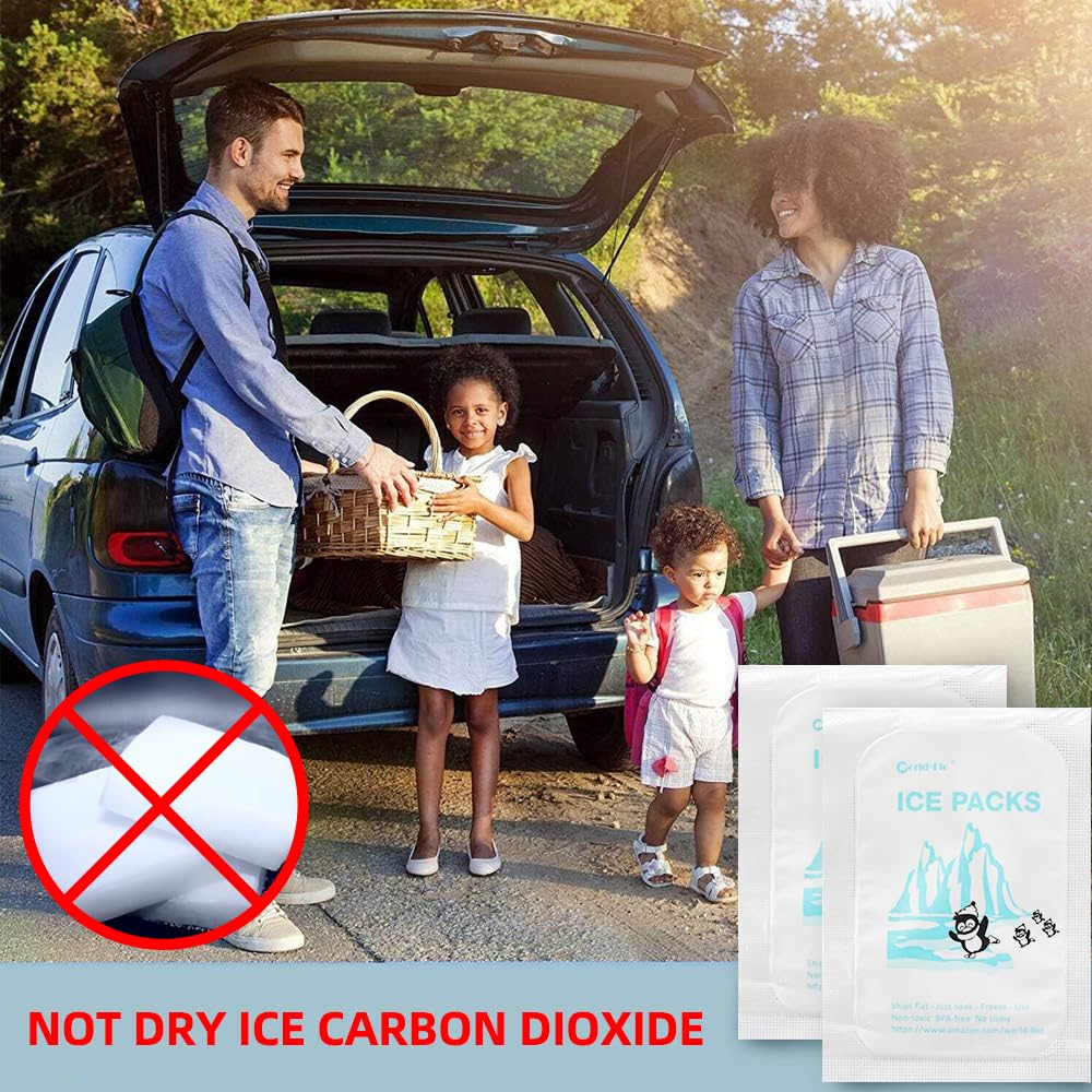 WORLD-BIO dry ice packs with soft cloth back surface for leak-proof use.