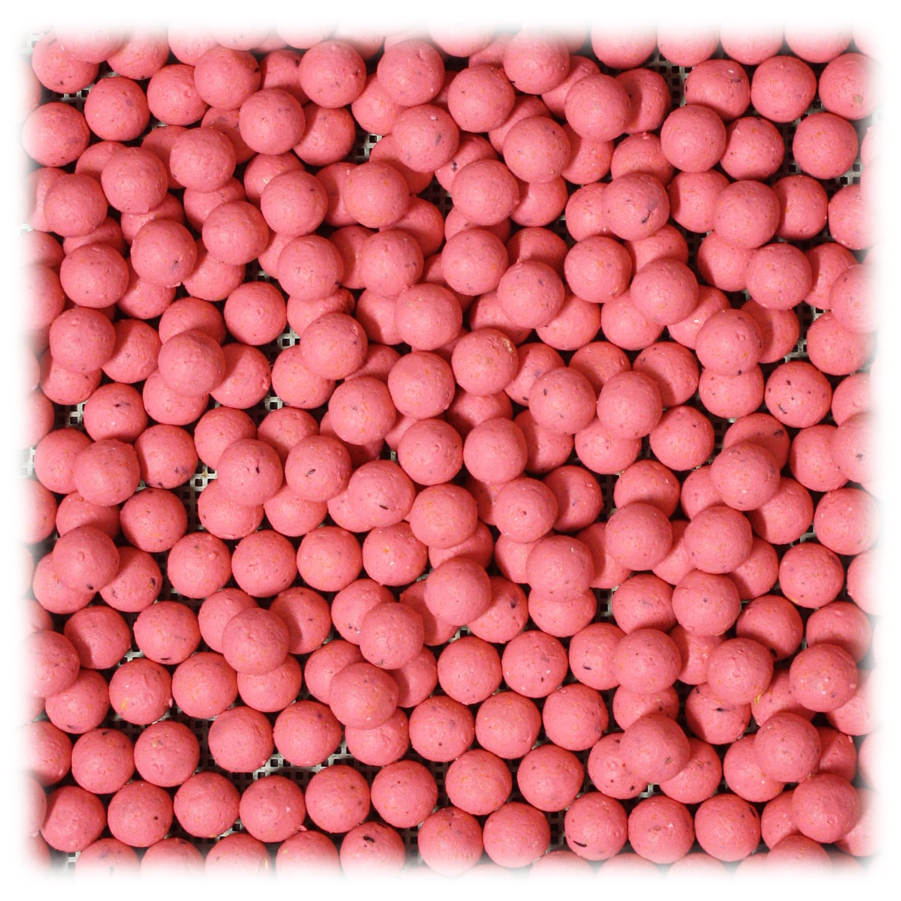 World Classic Baits steam-cooked boilies maintain flavor for quicker attraction.