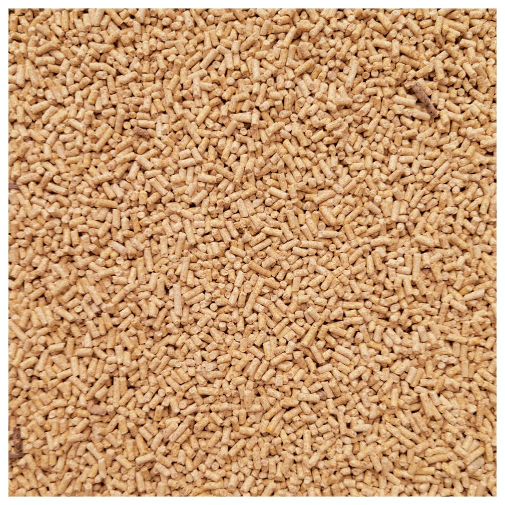 Closeup of WCB carp baits pellets; ideal for pre-baiting and scent trails.
