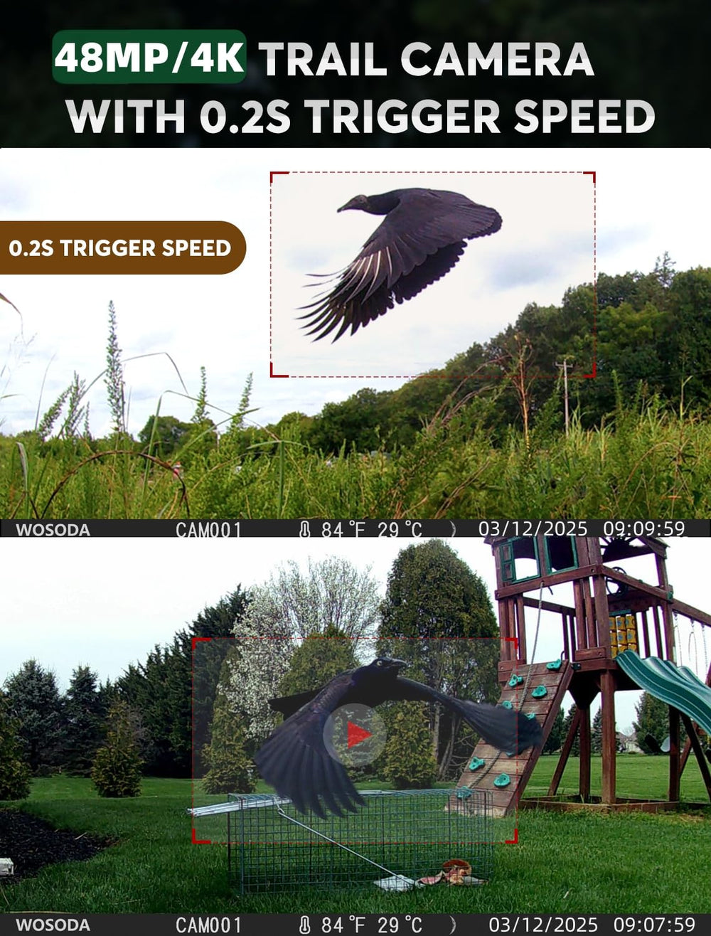 WOSODA trail camera captures 4K video for crisp wildlife moments day or night.