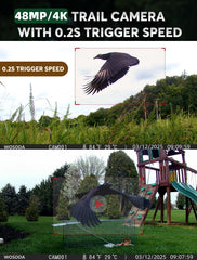 WOSODA trail camera captures 4K video for crisp wildlife moments day or night.