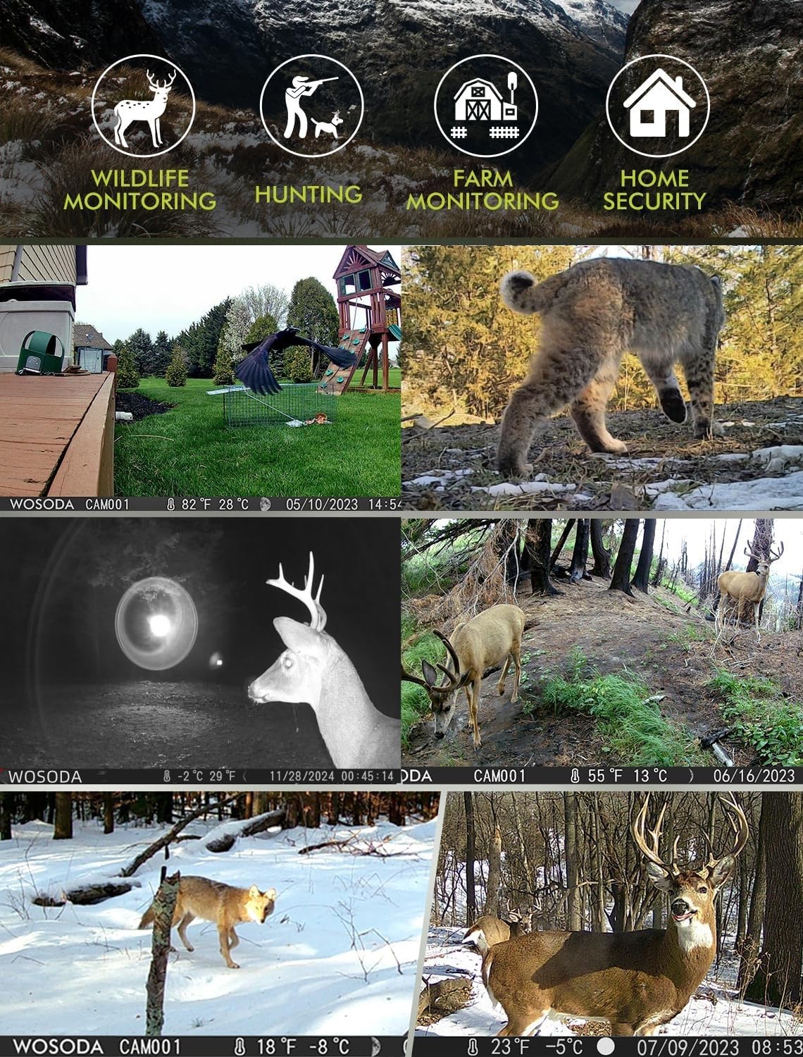 WOSODA trail camera IP66 waterproof housing endures harsh weather.