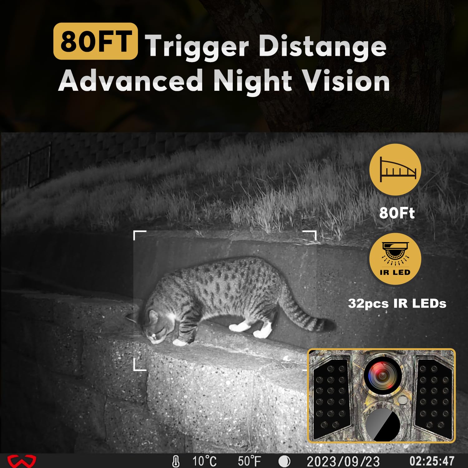 WOSODA trail camera night vision provides clear nocturnal footage.