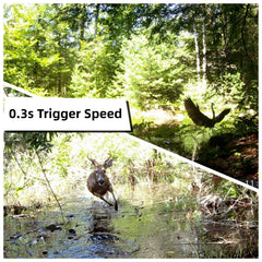 WOSODA waterproof outdoor camera withstands weather for all seasons.