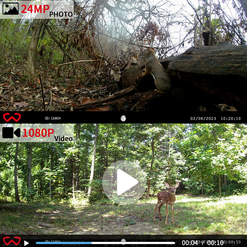 WOSPORTS Mini Trail Camera 24MP-image captures sharp daytime wildlife photos.
