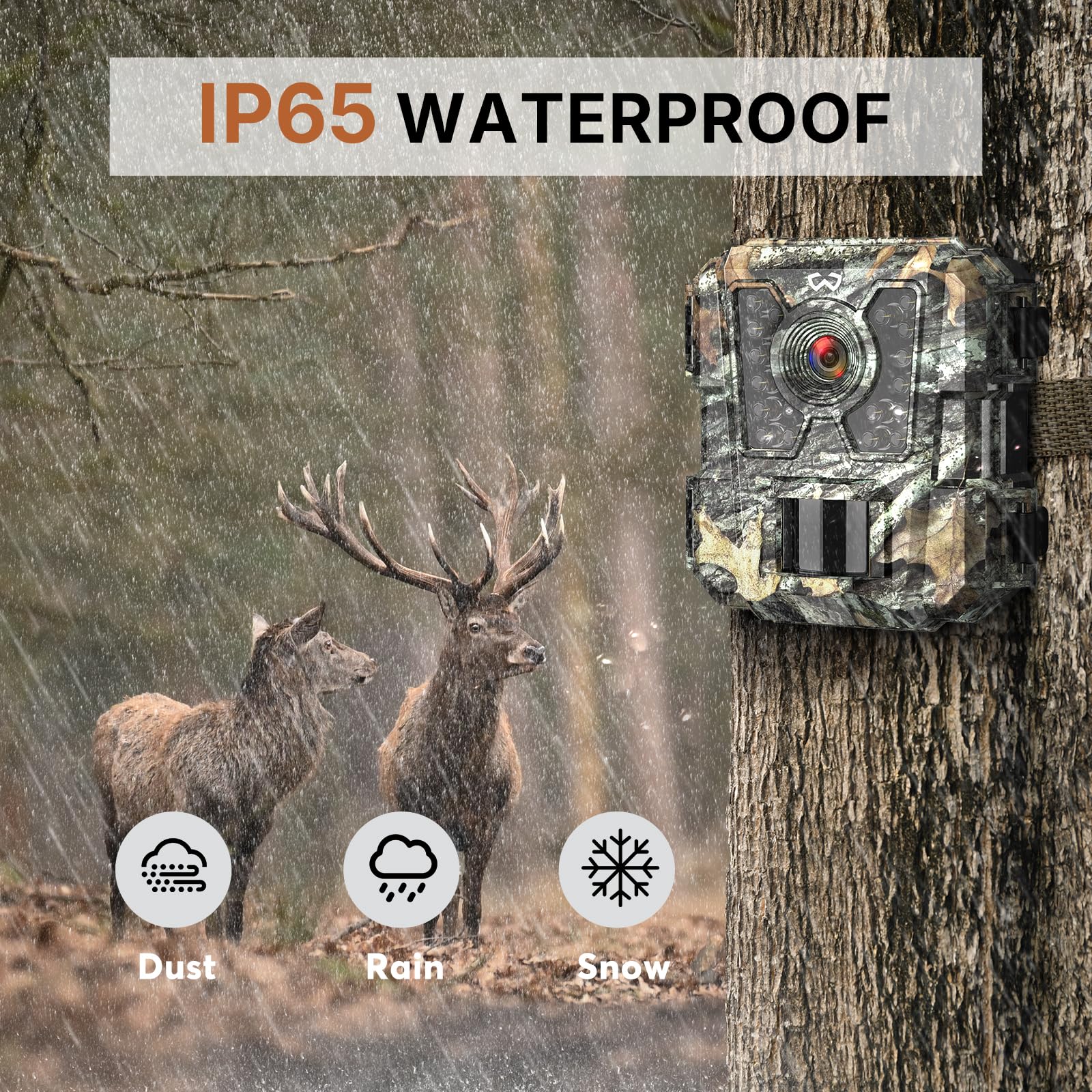WOSPORTS Mini Trail Camera includes SD cards and batteries for immediate setup.