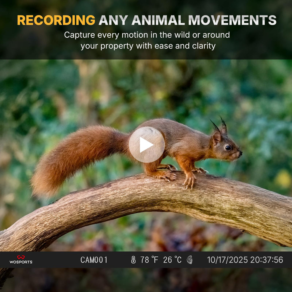 WOSPORTS mini trail camera night-vision capture in dim conditions demonstrates reliable detection.