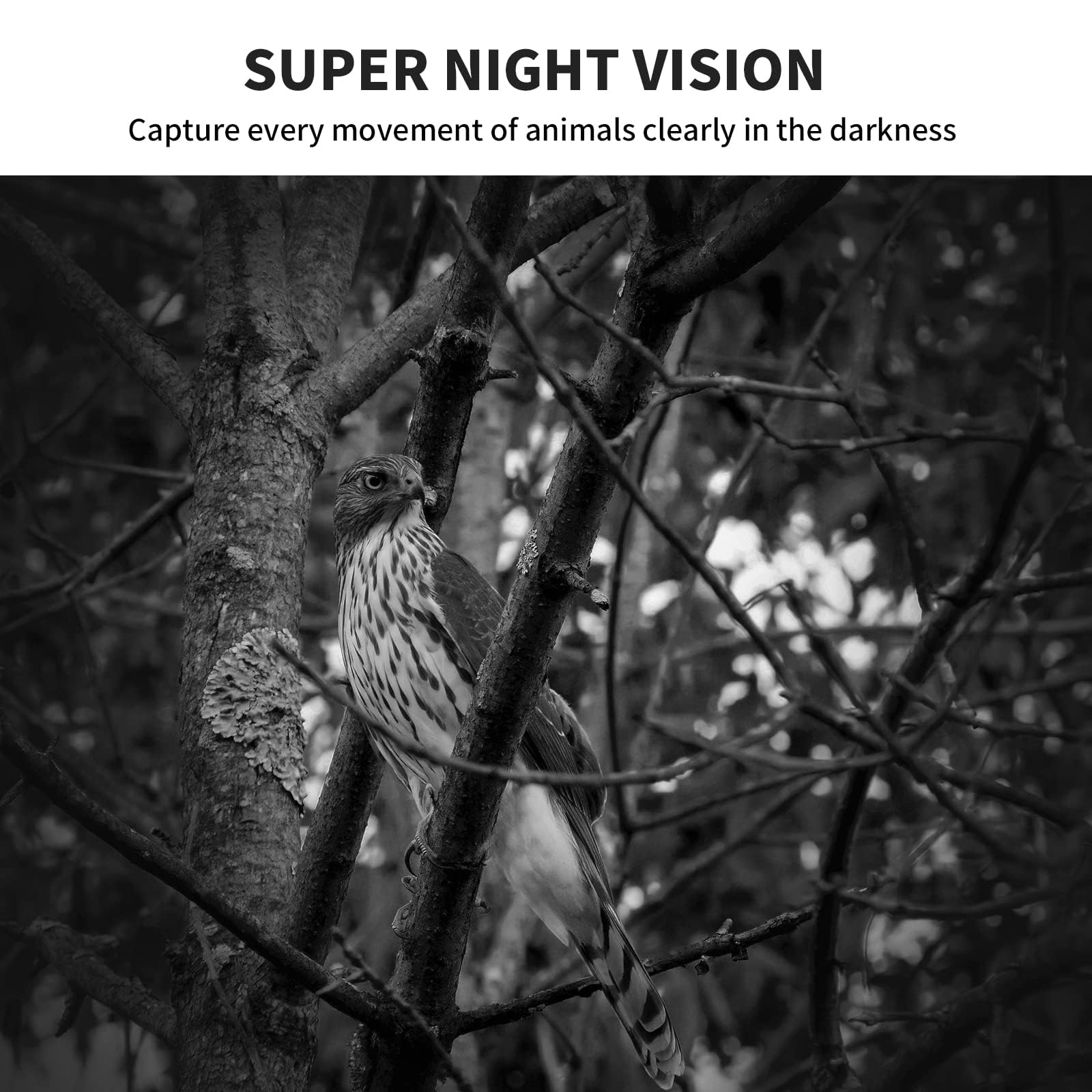 WOSPORTS mini trail camera mimetic design helps conceal among natural surroundings
