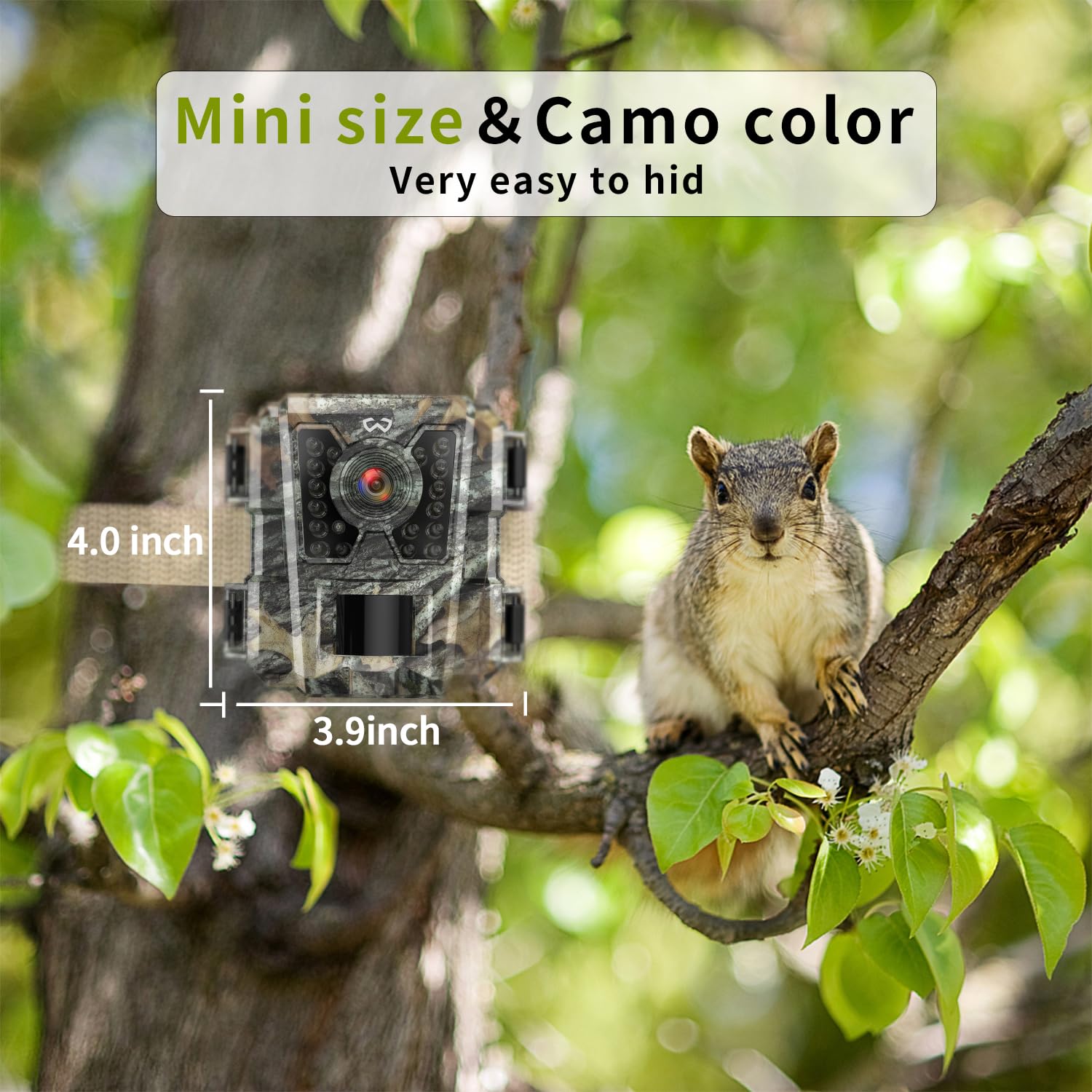 WOSPORTS Mini Trail Camera night-vision delivers clear night shots for nocturnal activity.