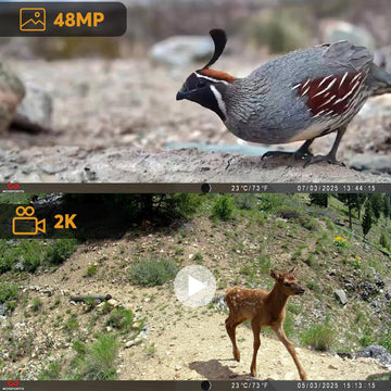 WOSPORTS night vision view enabling nighttime wildlife observation.