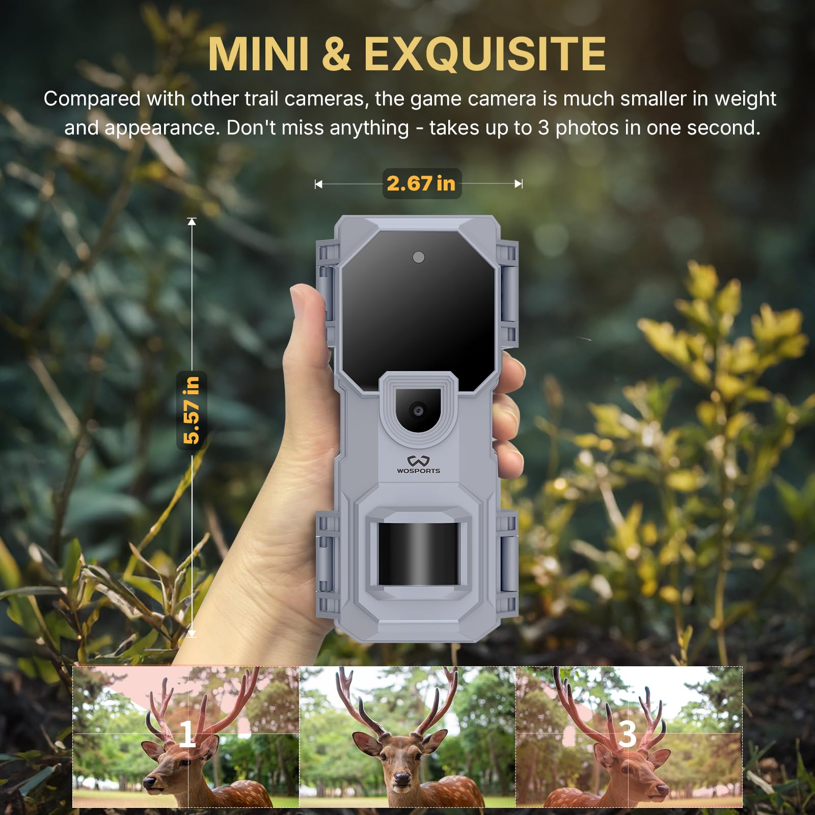 WOSPORTS trail camera 1080p video sample highlights smooth playback in natural habitats.