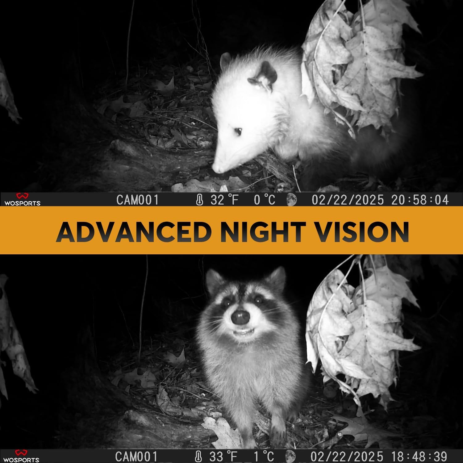 WOSPORTS 120-degree wide-angle lens captures broad wildlife scenes.