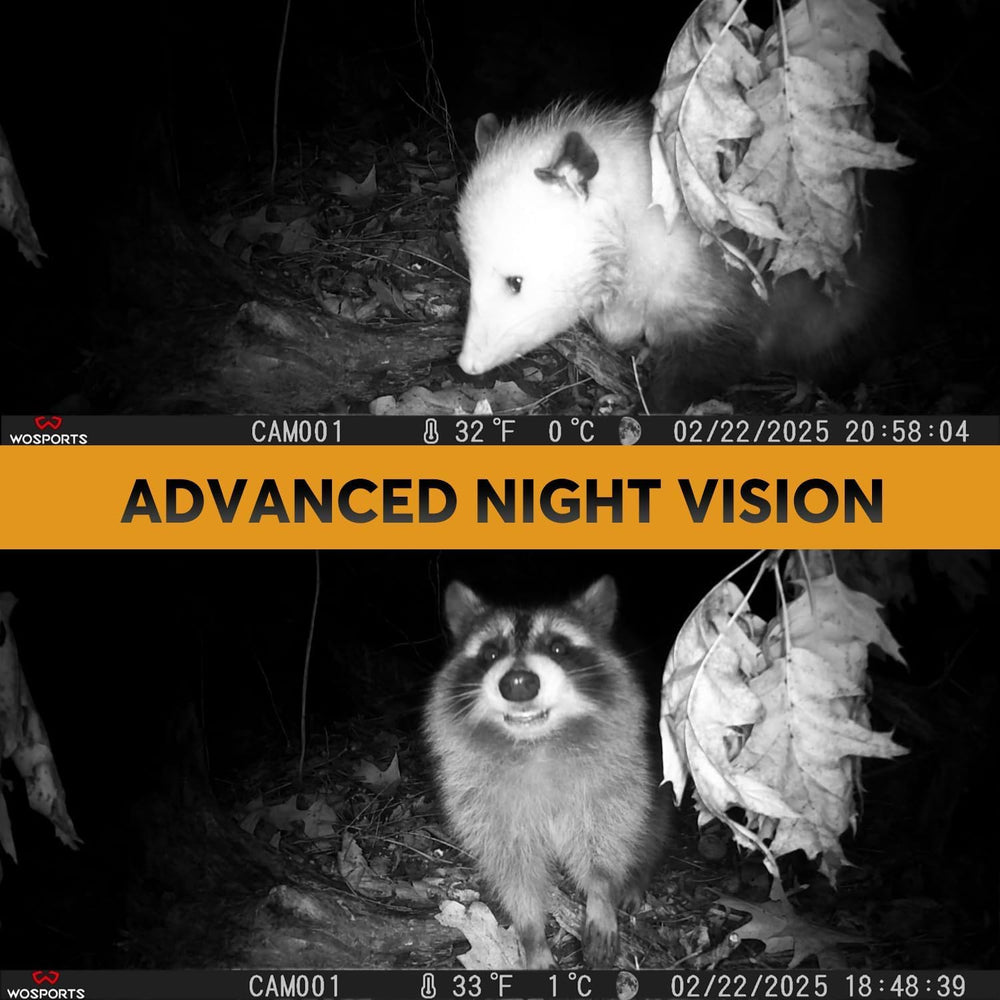 WOSPORTS 120-degree wide-angle lens captures broad wildlife scenes.