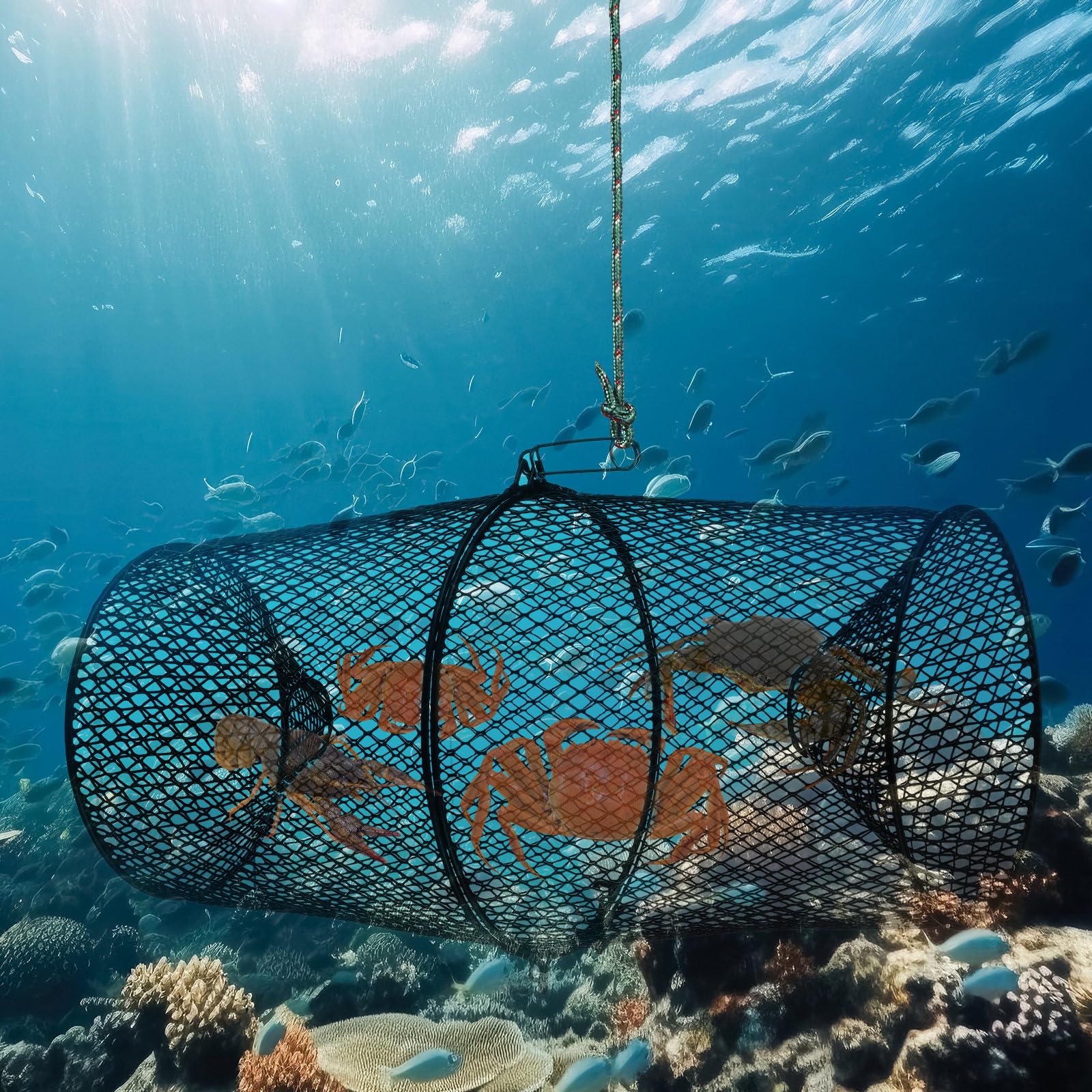 Package contents: two traps, two ropes, two bait bags, two nets