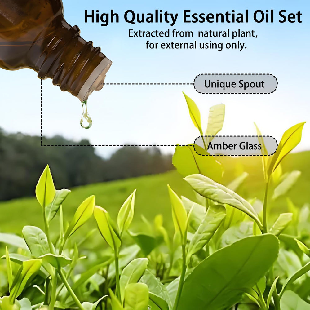 Wtrcsv eucalyptus oil bottle highlights invigorating scent for inhalation and diffusion.