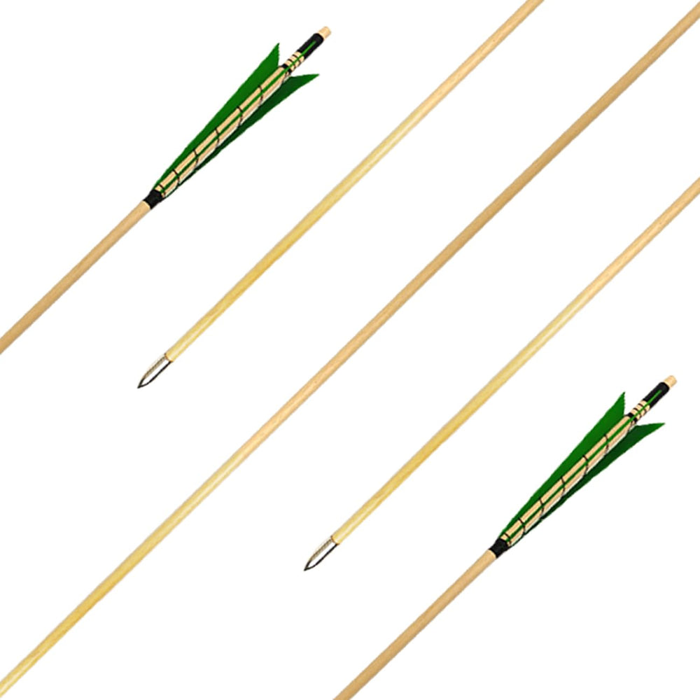 XTCXCARCHERY pack of 12 arrows ideal for beginners and enthusiasts.