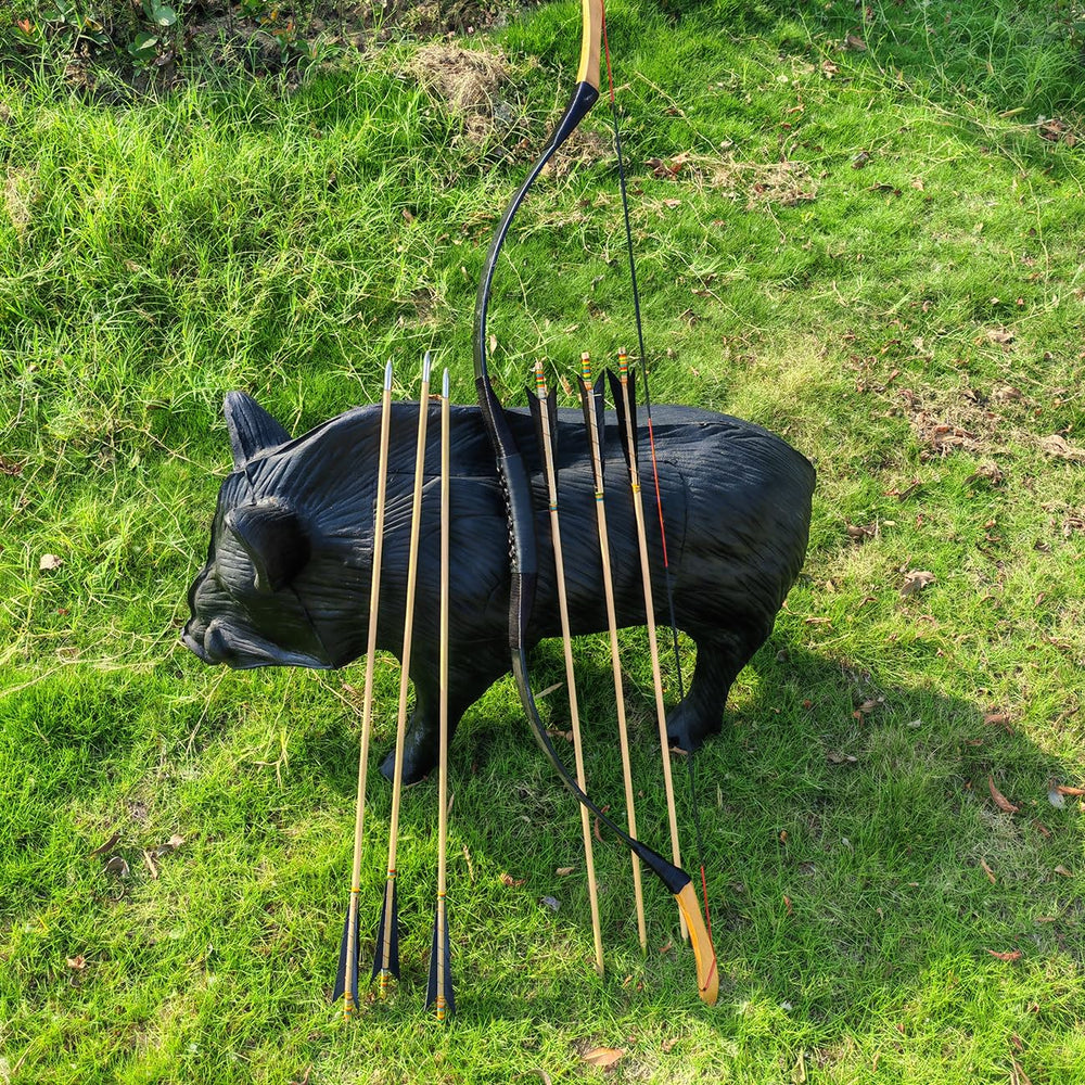 XTCXCARCHERY pack of 12 arrows ready to shoot for immediate practice.