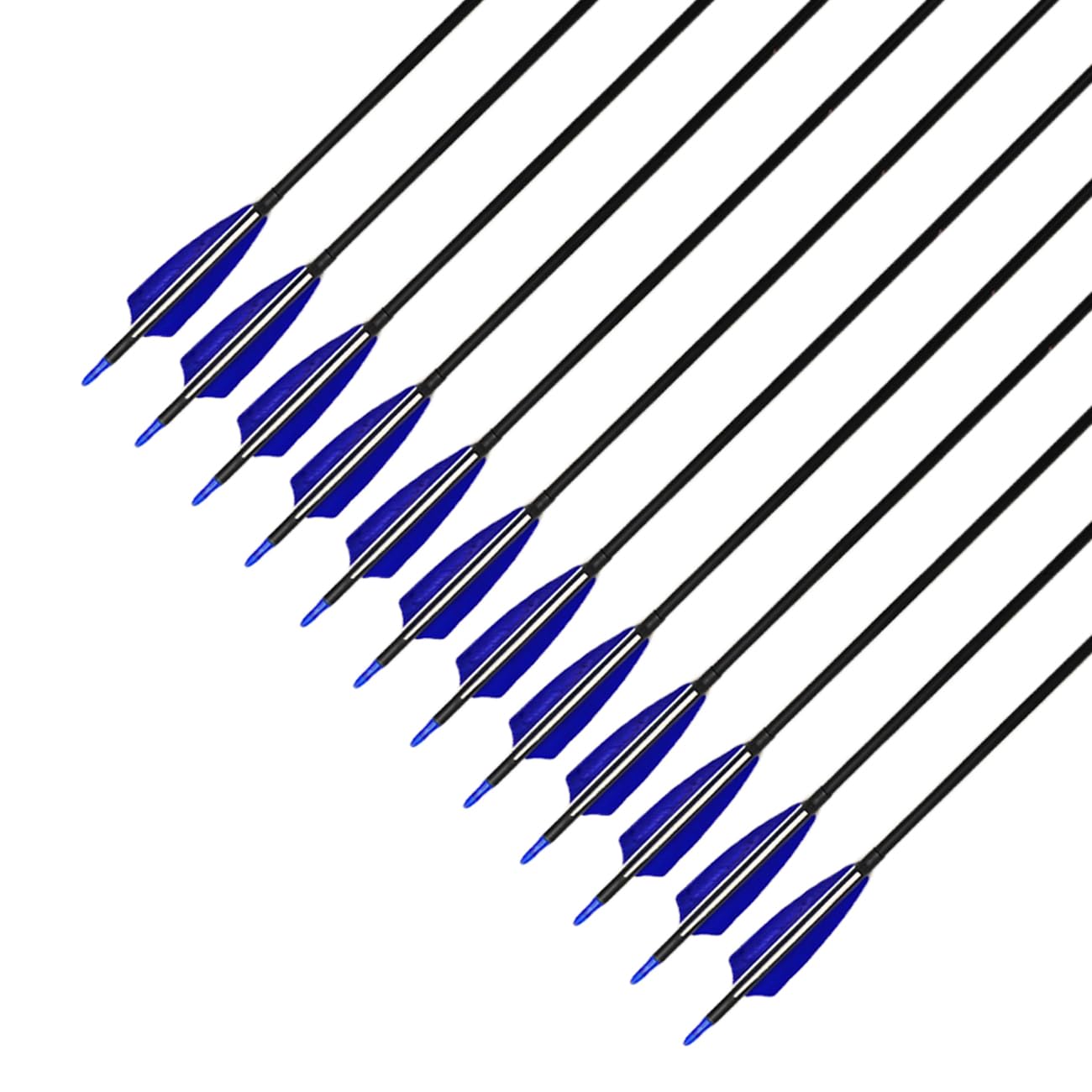 XTCXCARCHERY 31.5-inch arrows for beginner-friendly practice across bows.
