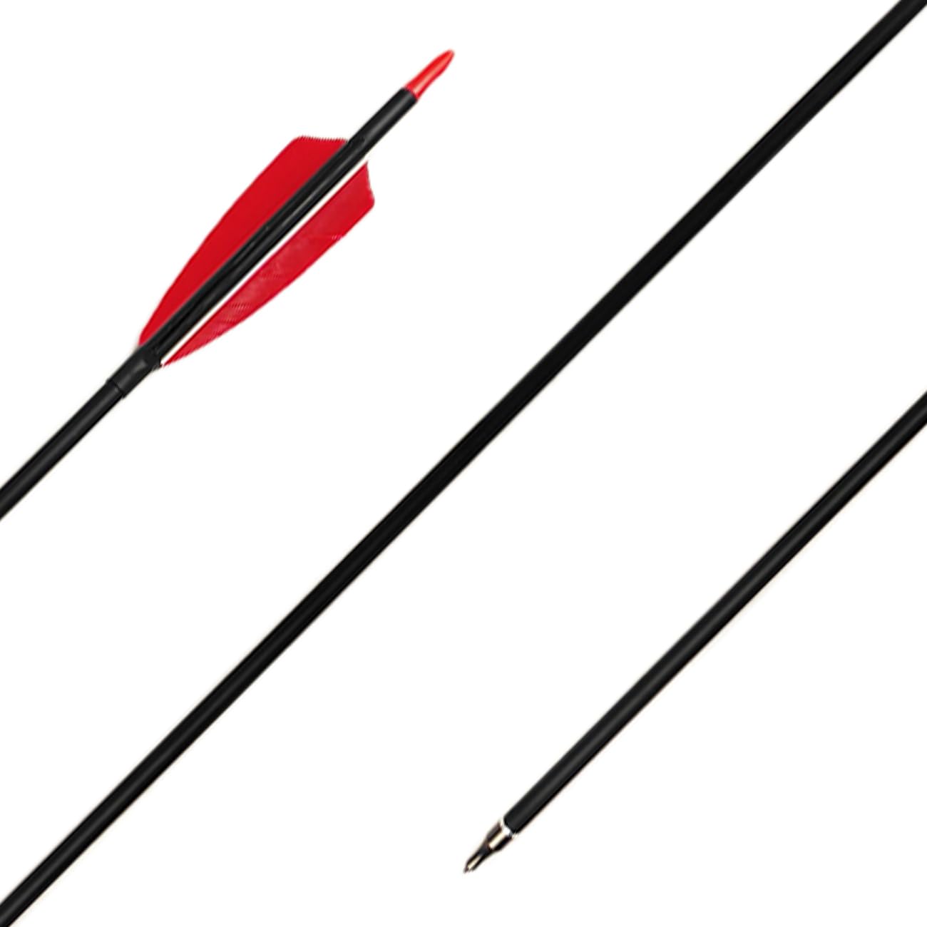 XTCXCARCHERY pack of 12 arrows supports daily practice with recurve and longbows.