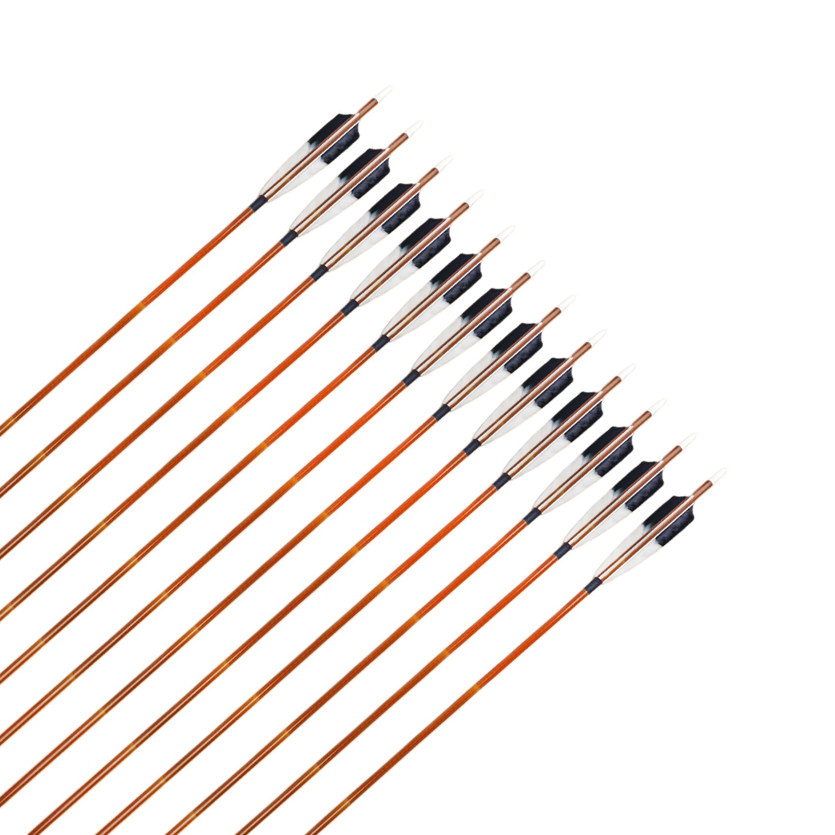 XXRRP ARCHERY pack of 12 arrows for versatile practice sessions.