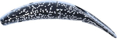 Yakima Bait Spin-N-Fish 2.5 Skunk lure highlighting the scent-chamber for trolling versatility