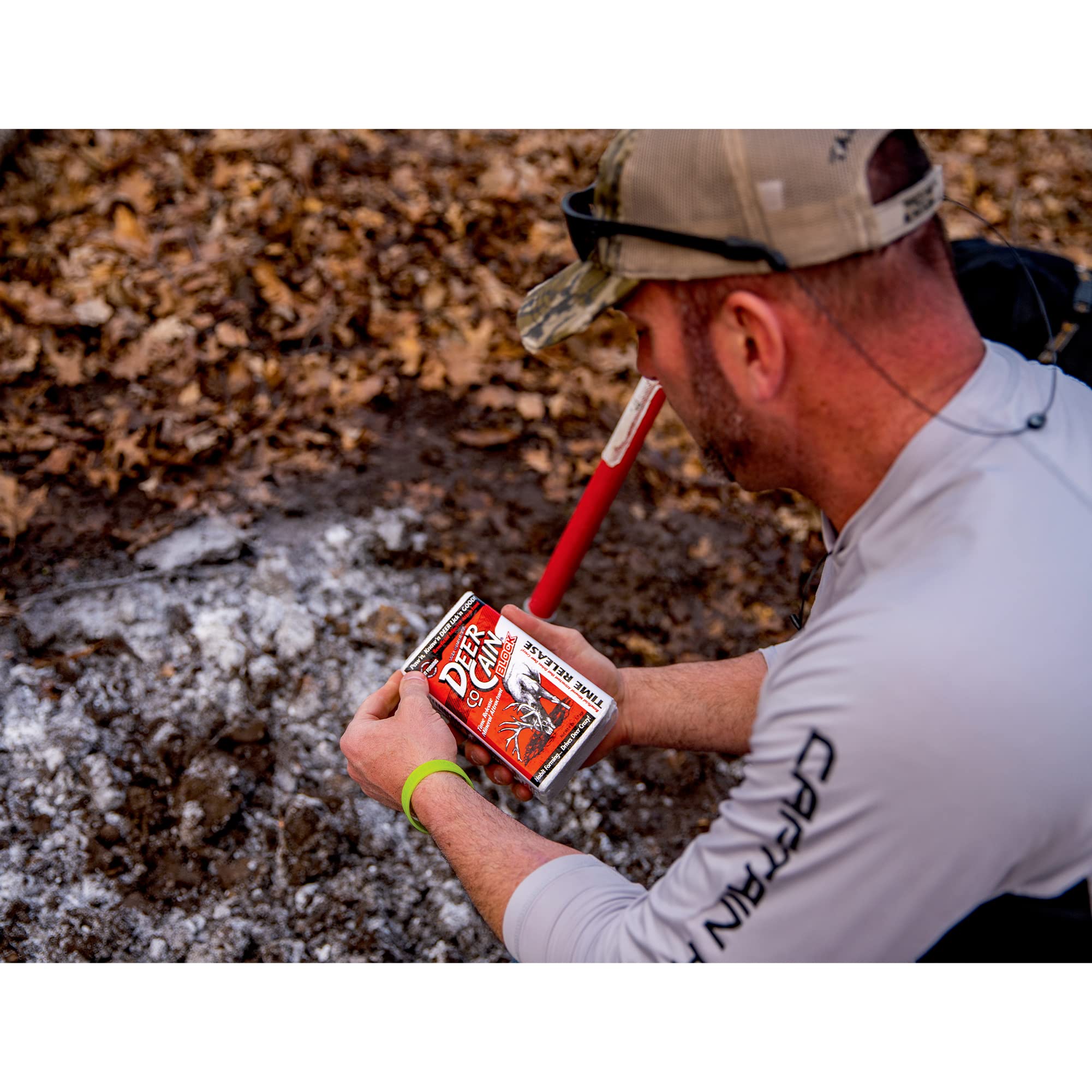 Year-round deer mineral block usage imagery