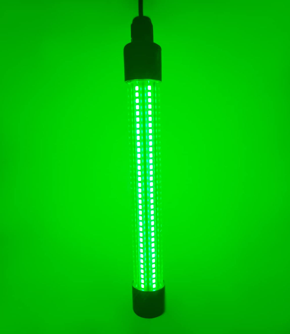 Green light attracts prawns, squid and fish at night