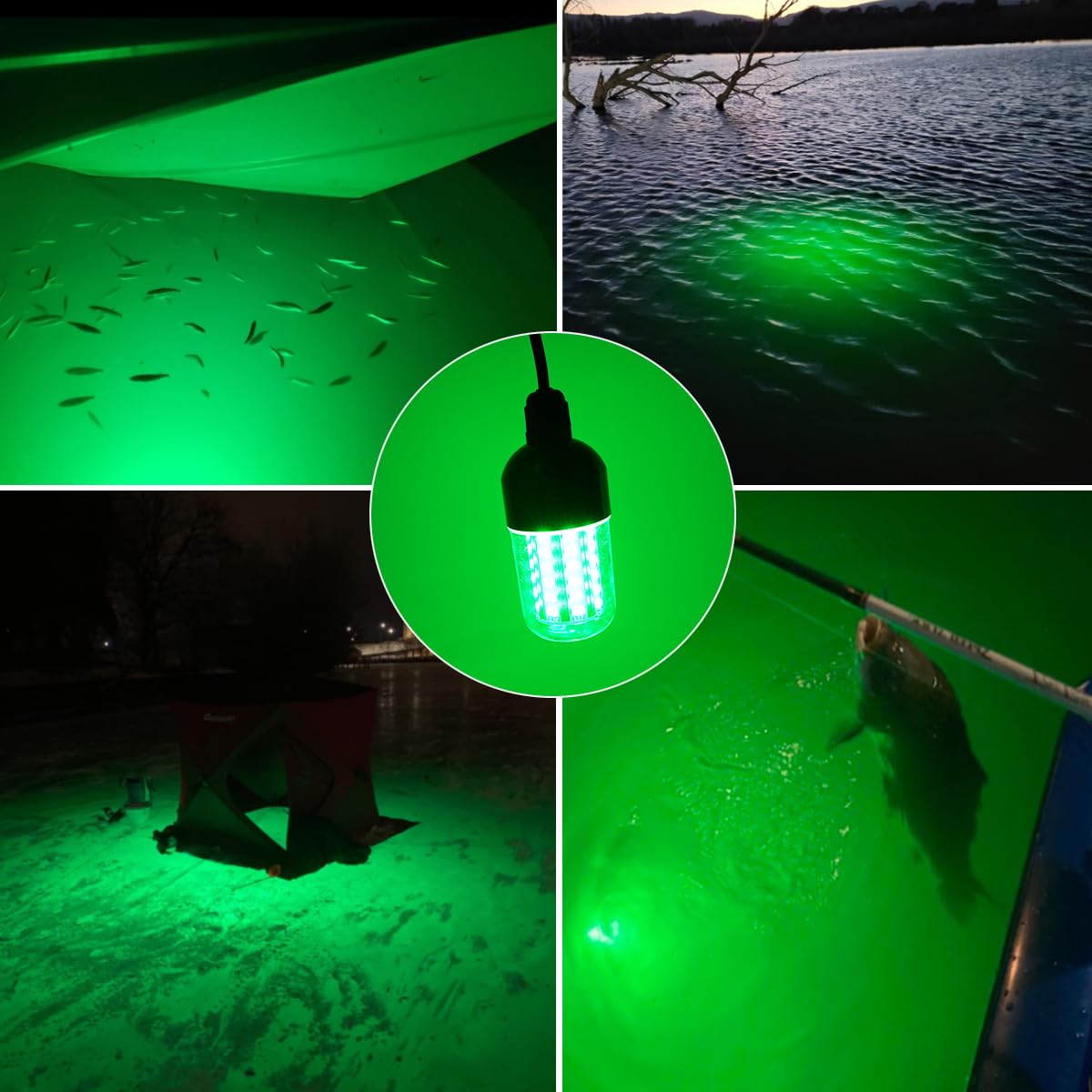 YEGRUEB green submersible night fishing light attracting prawns, squid and fish