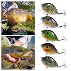 YIWENG mini wobbler with swim action for bass and panfish.