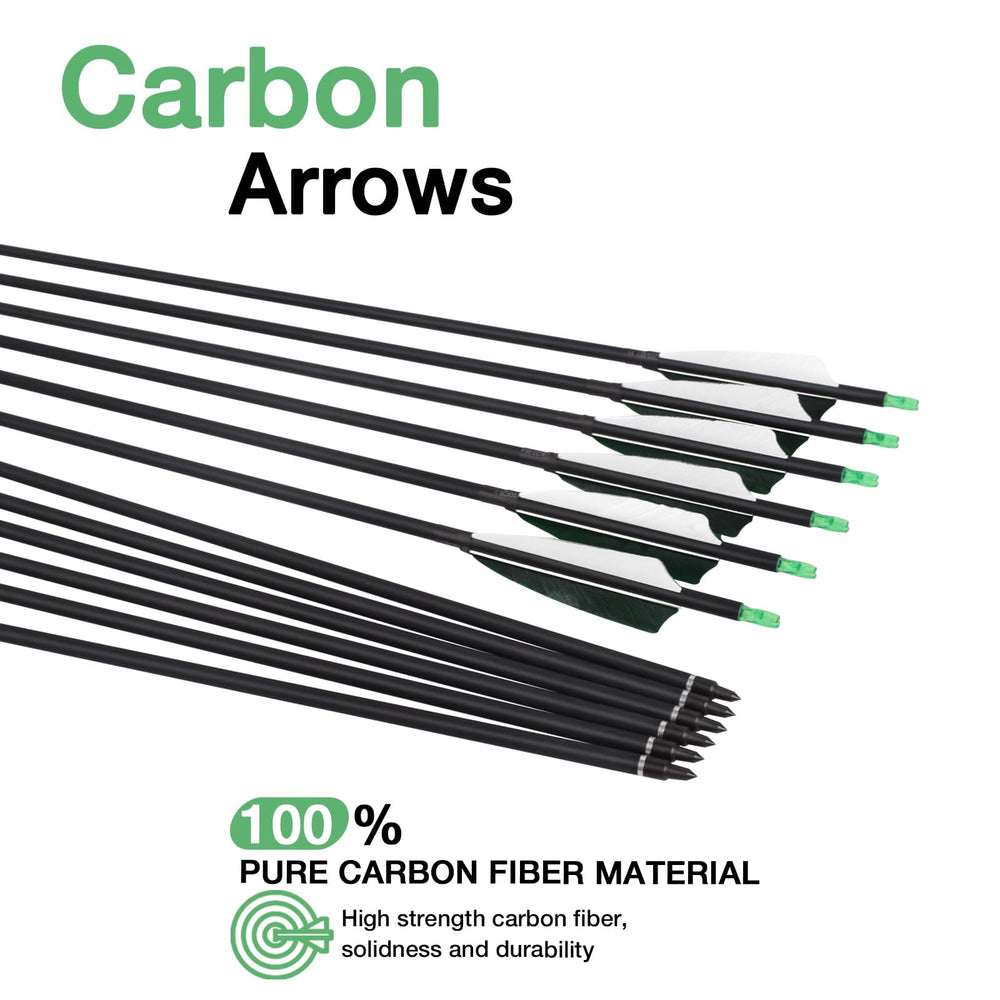 YLS 12-pack feather carbon arrows designed for practice and hunting prep.