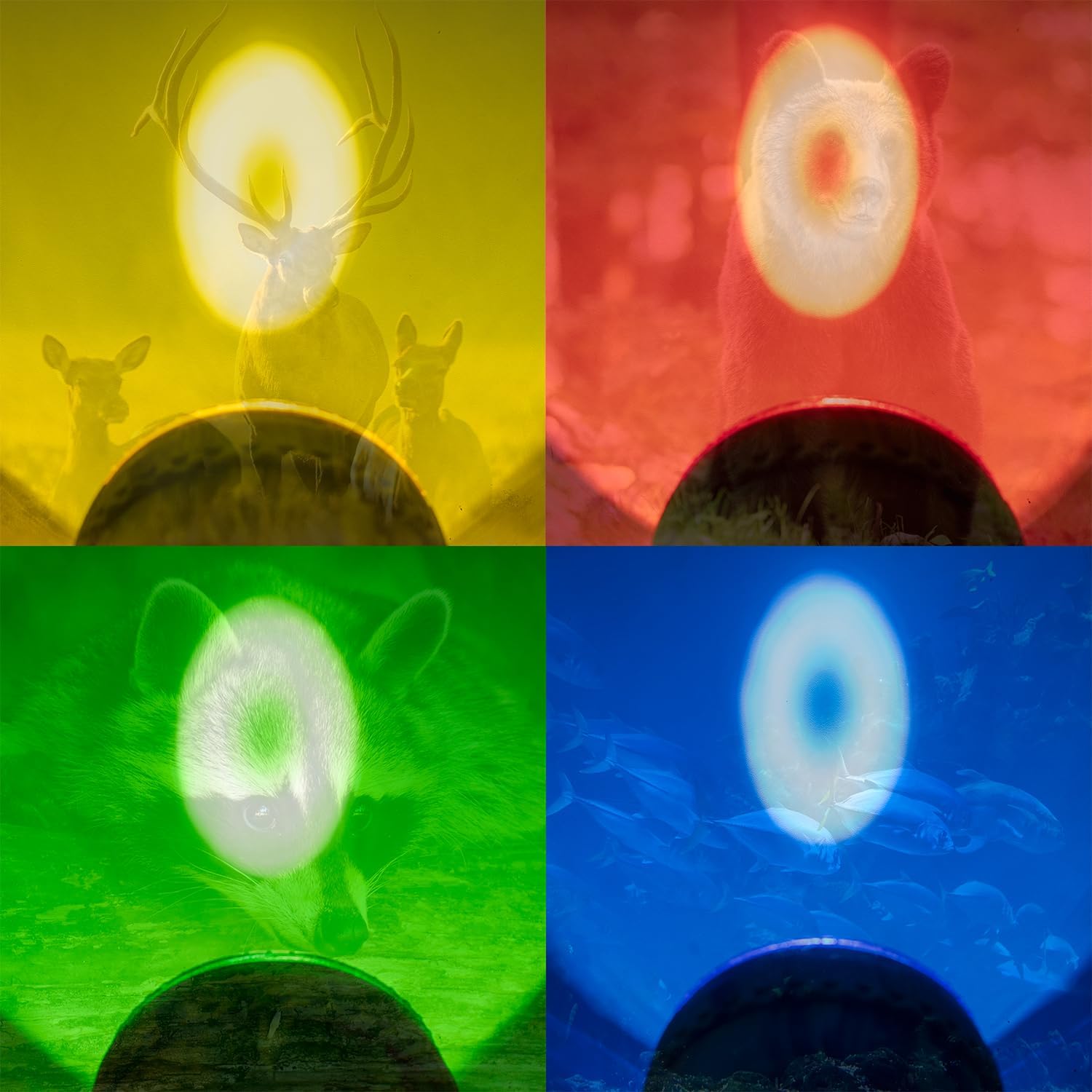 YoTmake Coon Hunting Lights with 6 lighting modes for versatile night use.